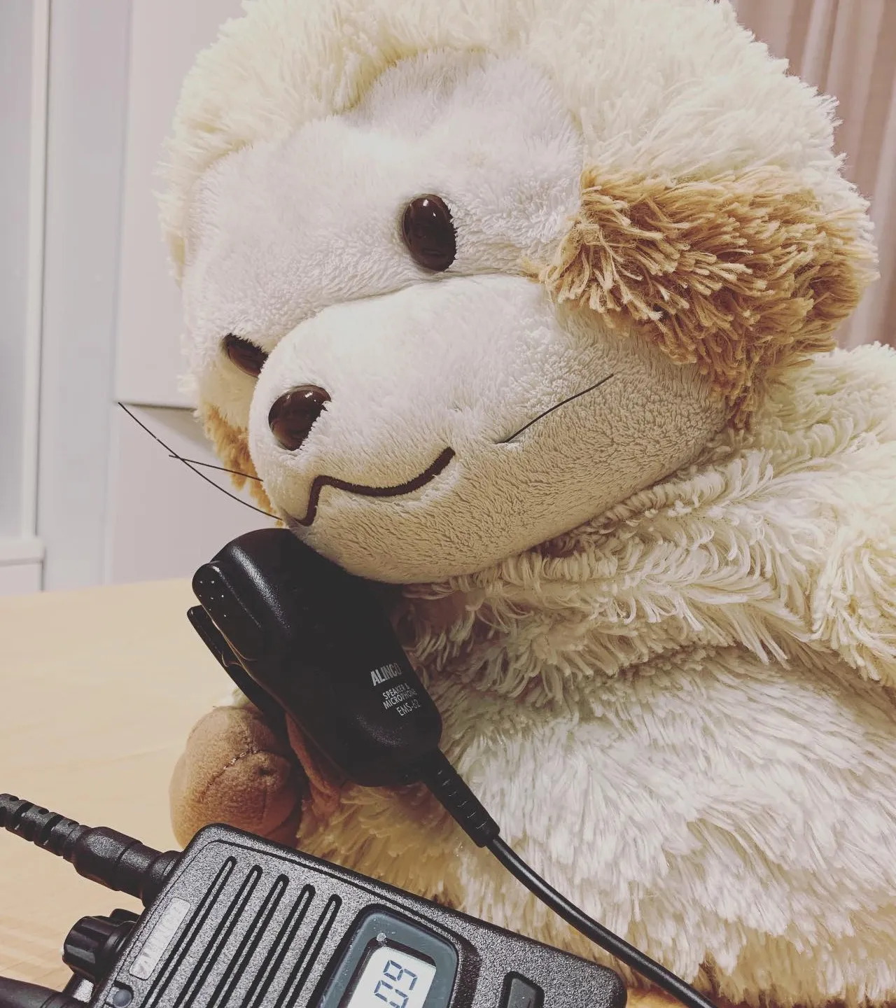 Profile Image of the Author